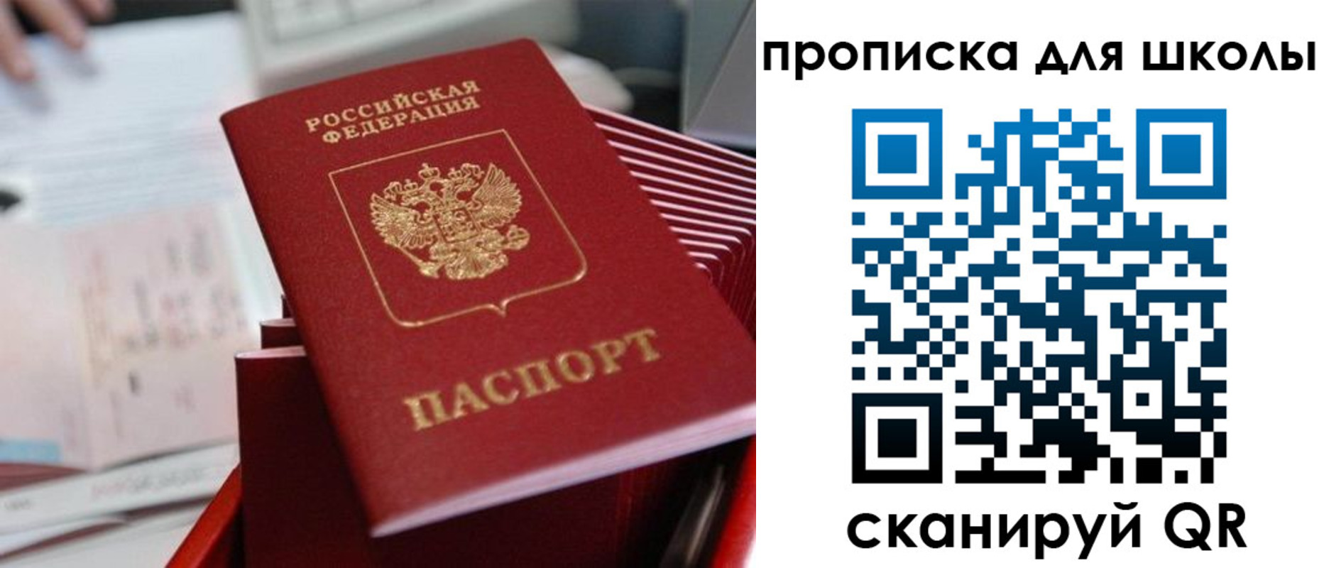 прописка для школы в Московской области